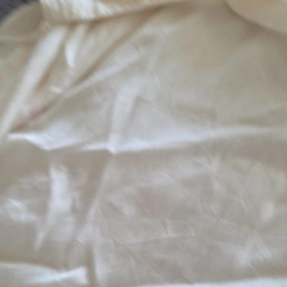 WinterSilks White Chemise Slip Intimates Sleepwear